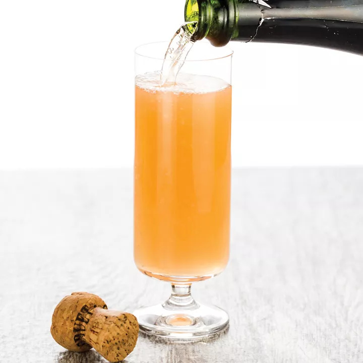 Mexican Mimosa
