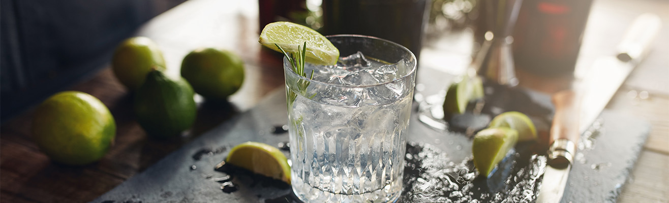 Gin Header Image